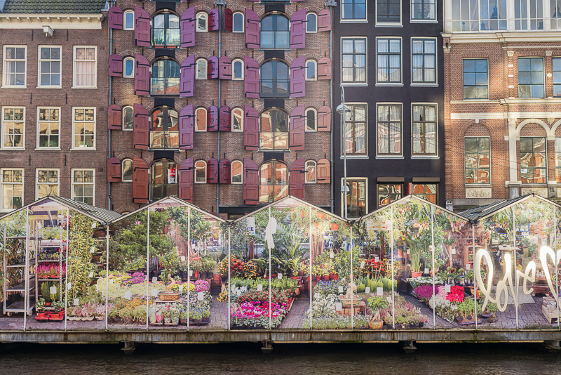 amsterdam-marche-fleurs-flottant-singel