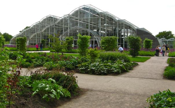 jardin-botanique-amsterdam