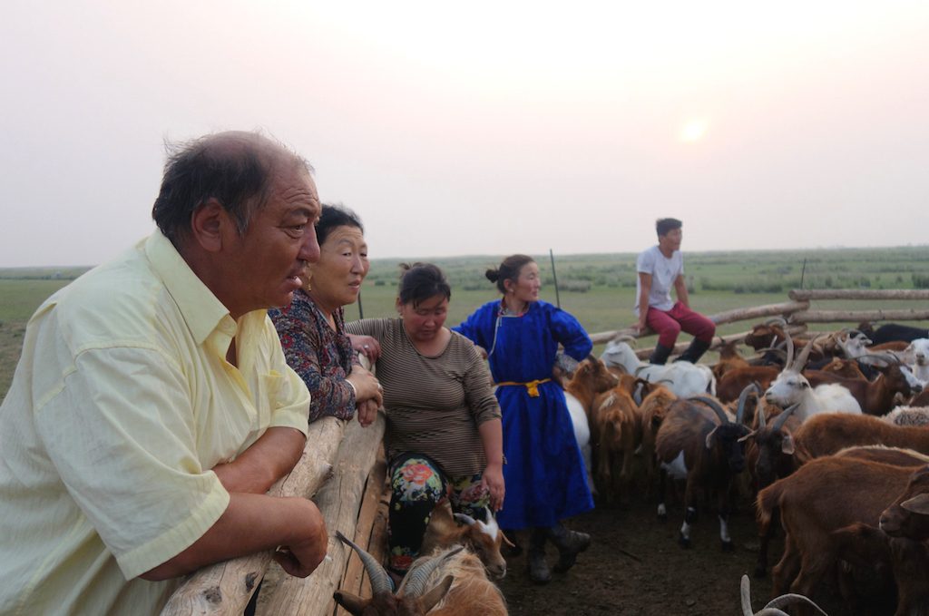 mongolie-famille-nomade-enclos