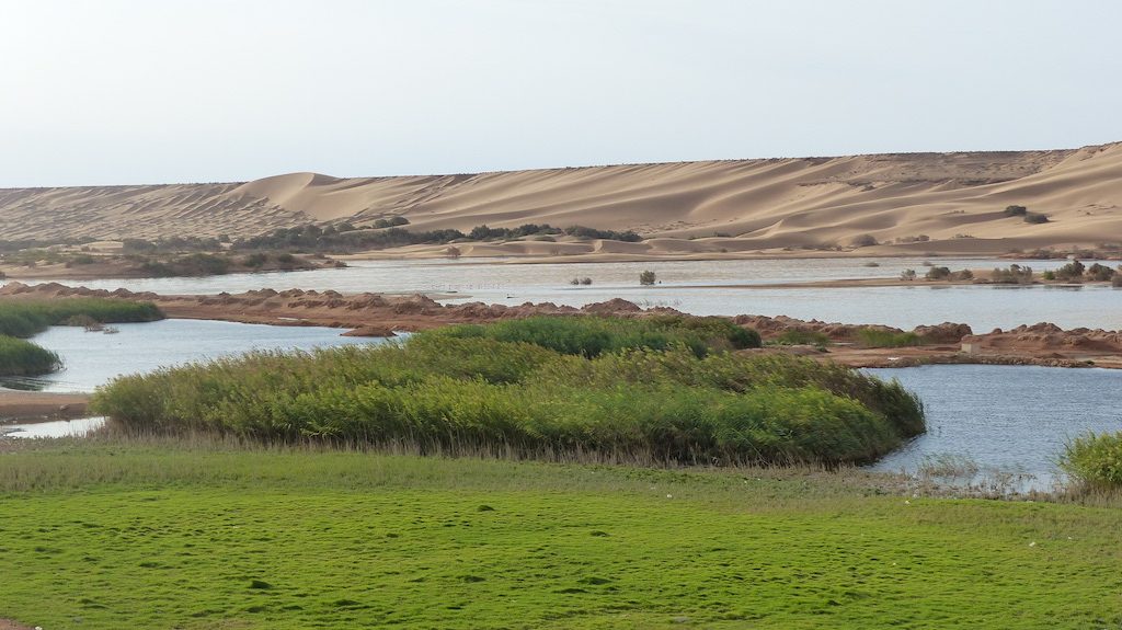 riviere-oued-laayoune
