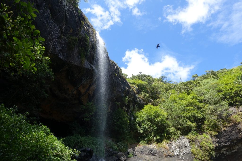 les-exploratrices-maurice-tamarin-falls-cascade-rapace