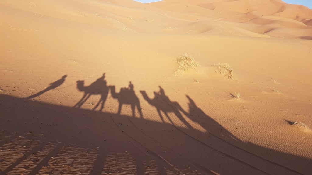 les-exploratrices-maroc-merzouga-ombre-chameaux