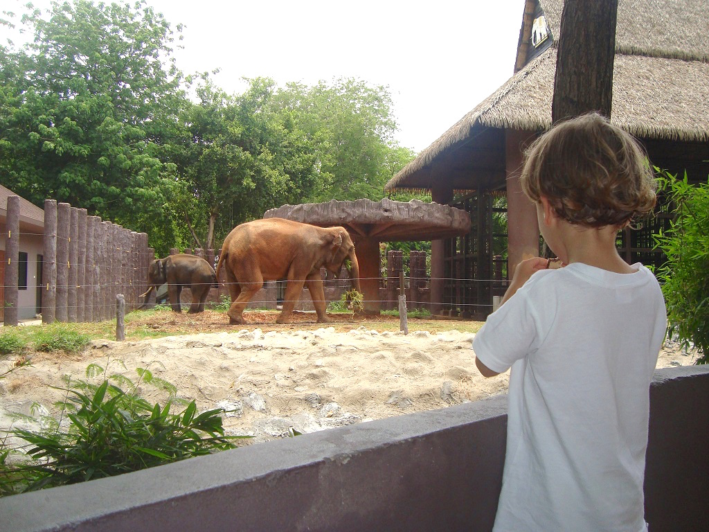 zoo-bangkok-thailande-les-exploratrices-voyager-avec-un-enfant