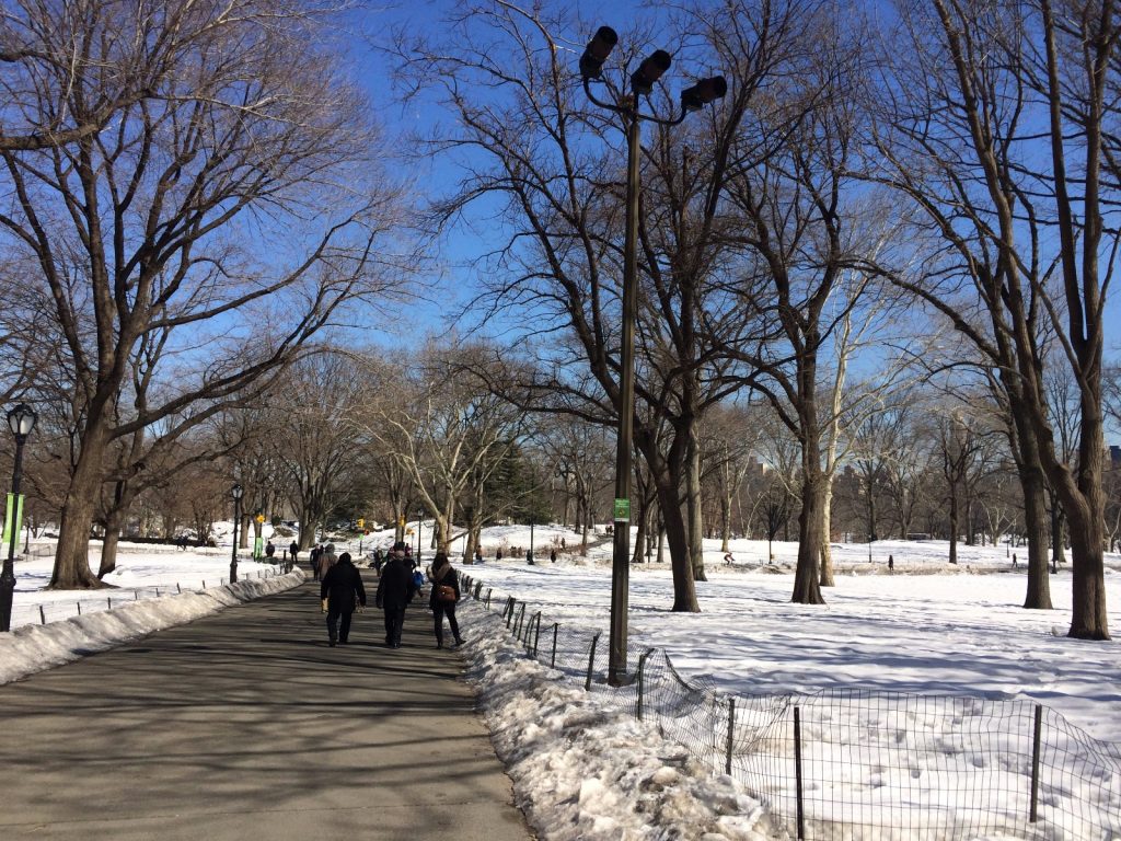 les-exploratrices-new-york-central-park-winter