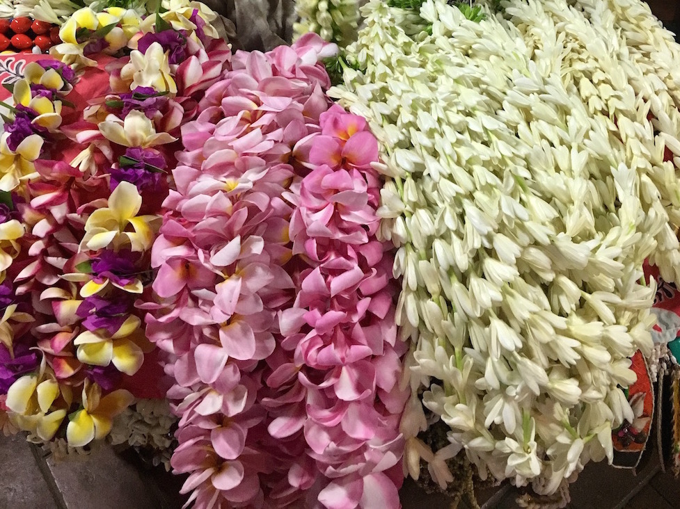 tahiti-fleur-tiare-frangipanier-polynesie