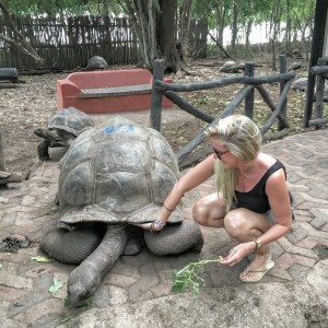 quoi faire à zanzibar pour rencontrer les tortues