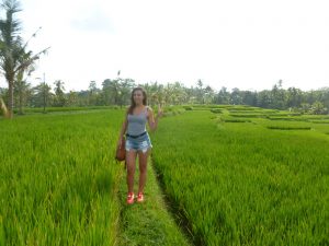 les rizières d'ubud