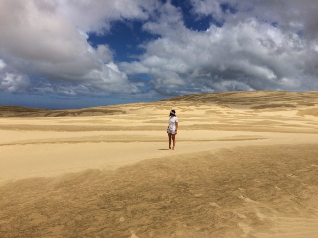 dunes sur l'île du nord de nouvelle-zélande