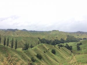 montagnes vertes de l'île du nord de nouvelle-zélande