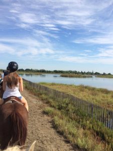 quoi-faire-montpellier-cheval-rando