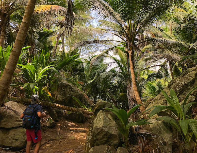les-seychelles-jungle-silhouette-les-exploratrices