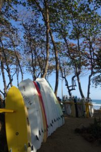 découvrir la république dominicaine authentique et faire du surf