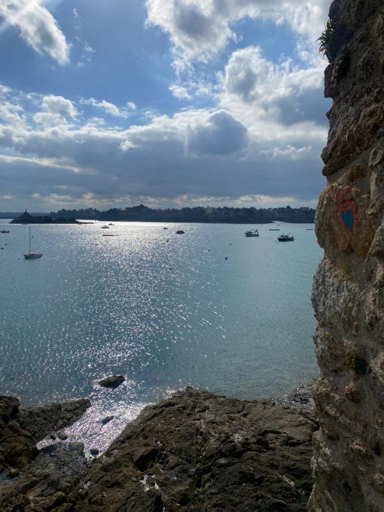 Nouvelles de Saint-Malo : où les mouettes sont indésirables, les