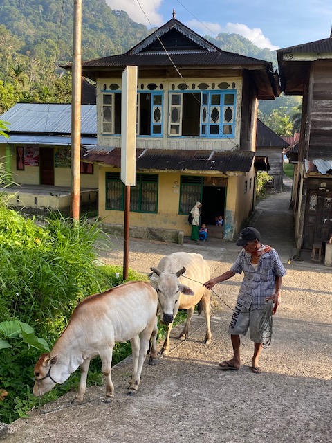 voyage solidaire à sumatra maninjau