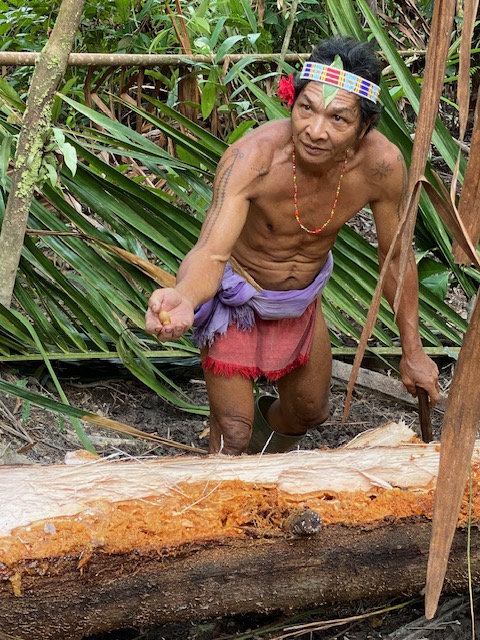 voyage solidaire à sumatra siberut mentawai